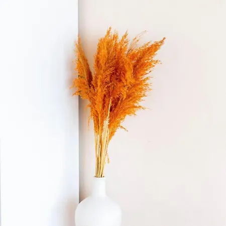 شقة Taksim Funhouse اسطنبول