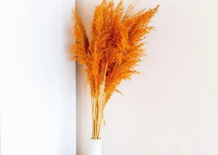 Apartamento Taksim Funhouse Istambul